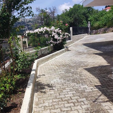 Fioravante Argostoli  Luaran gambar
