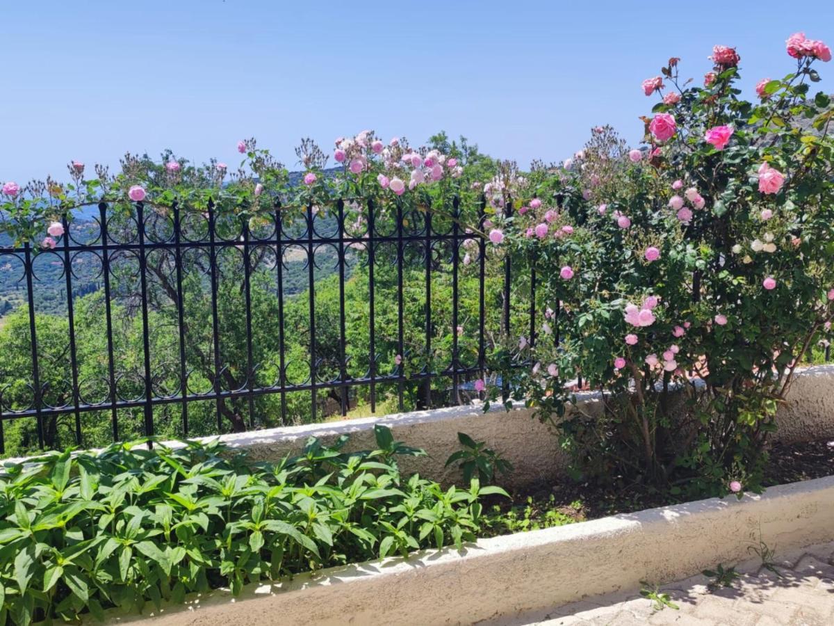 Fioravante Argostoli  Luaran gambar