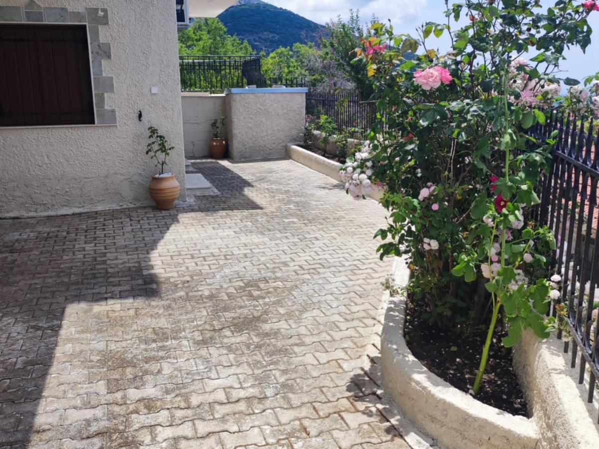 Fioravante Argostoli  Luaran gambar